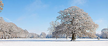 汉诺威96俱乐部换帅如换刀，能否带领球队重拾往日辉煌？