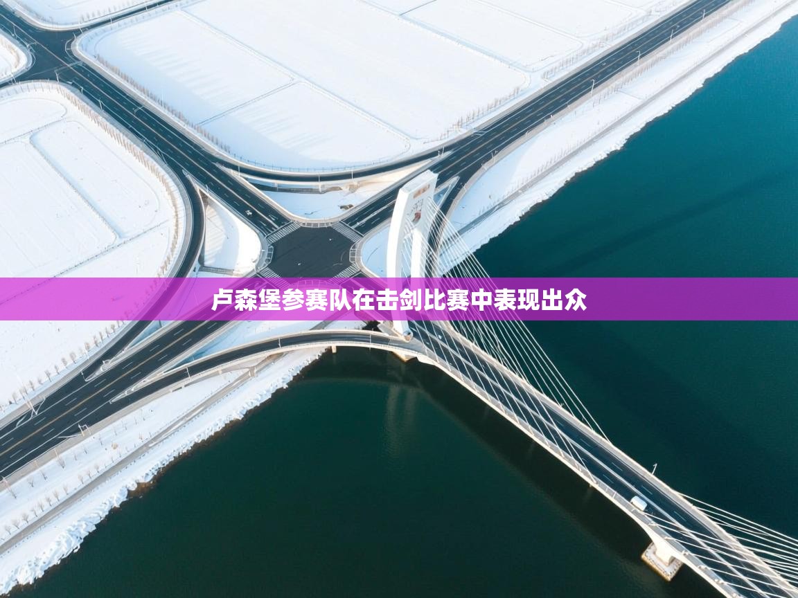 卢森堡参赛队在击剑比赛中表现出众  第2张