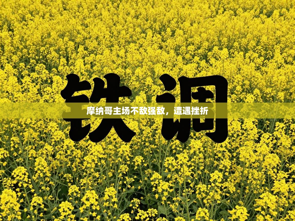 摩纳哥主场不敌强敌，遭遇挫折  第1张