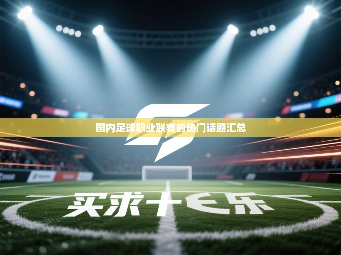 国内足球职业联赛的热门话题汇总  第2张