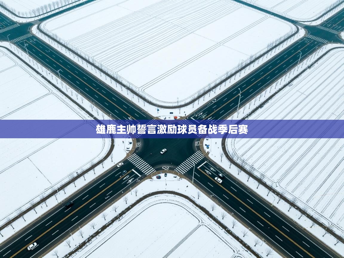 雄鹿主帅誓言激励球员备战季后赛  第2张